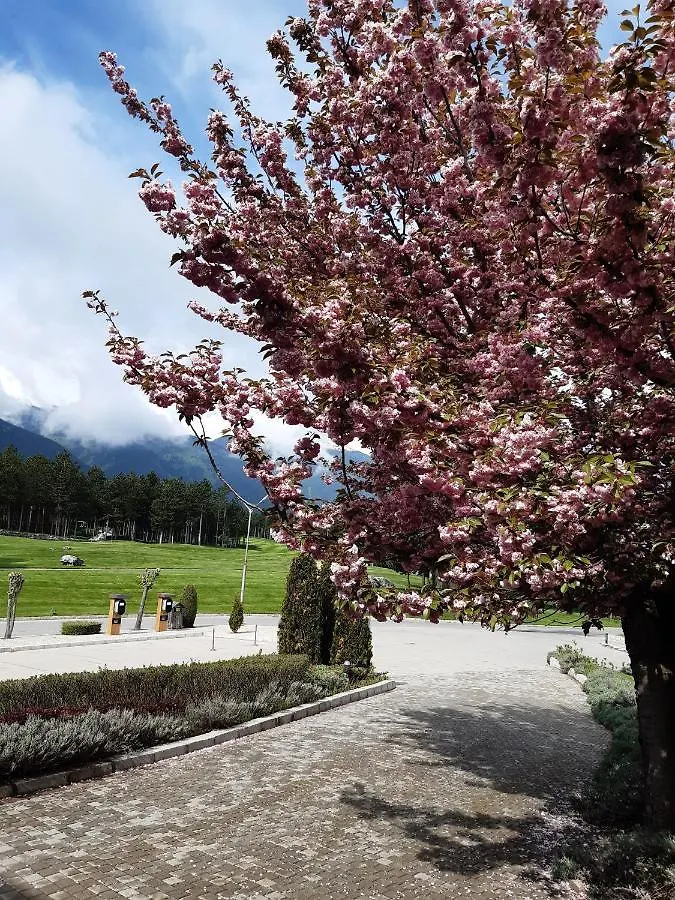 Blue Apartment Pirin Golf & Spa Bansko
